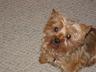 macy