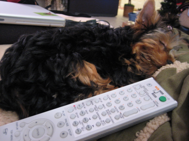 maggie_and_remote
