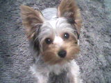 mamas_angel
