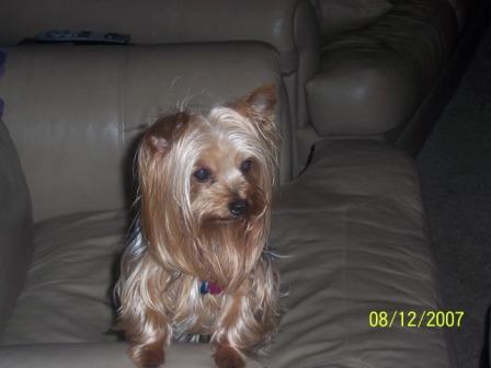 max_handsome