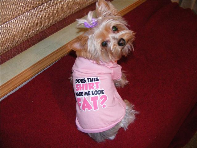 mazeefatshirt