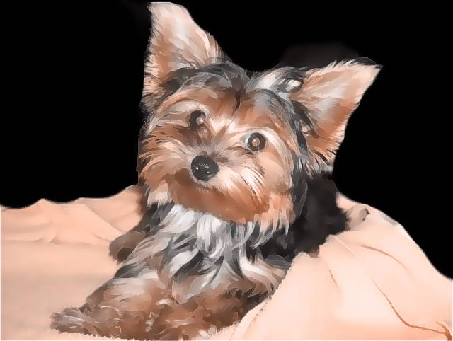 mindy_gorgeous