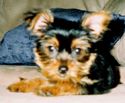 minni3