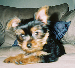 minni4