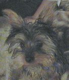 missy2