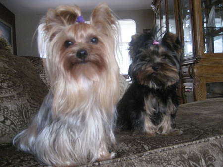 mommys_babies