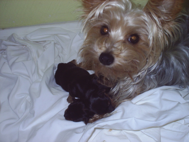 more_baby_0031
