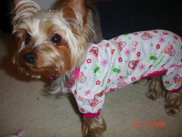 muffin_5