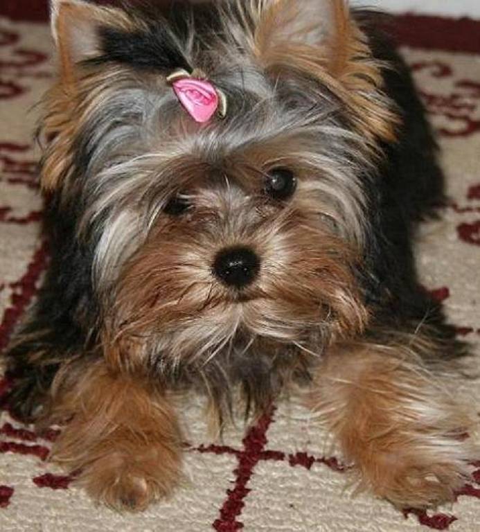 my_baby