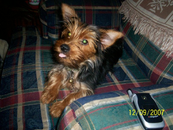 otis_sticking_out_his_tongue