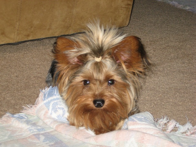 pete_pics_008