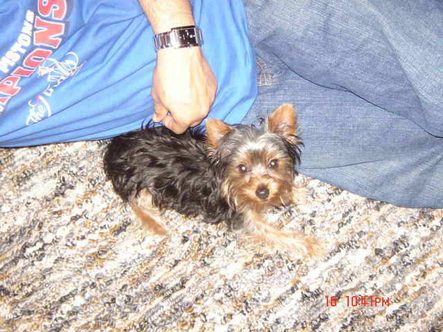 pics_095