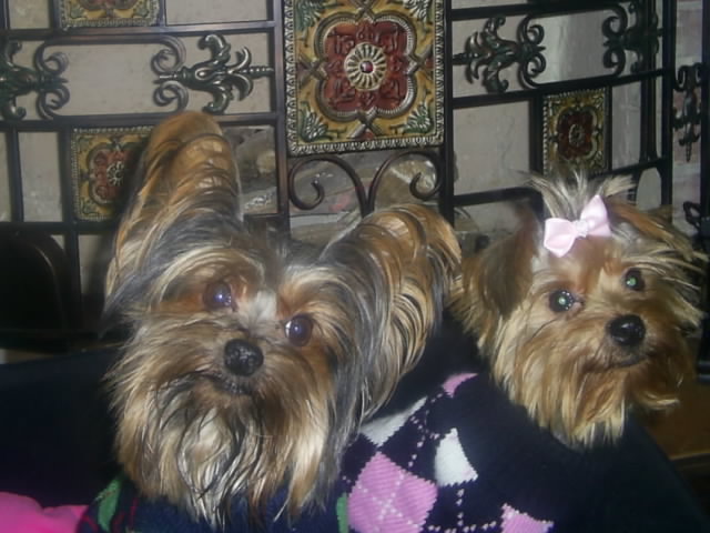 pictures_0131