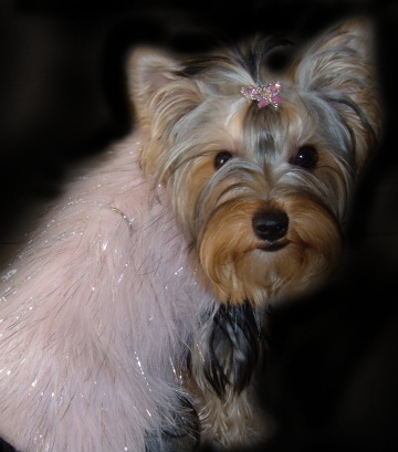 pinkfurtink
