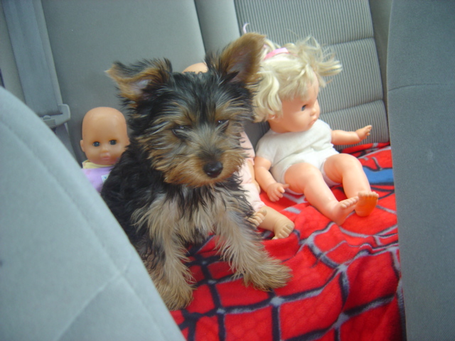 pix_022