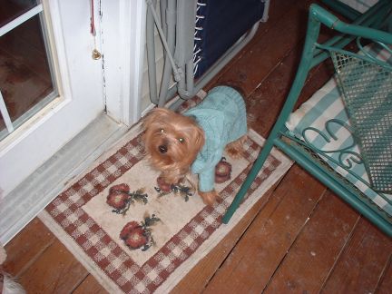 pixie_in_sweater
