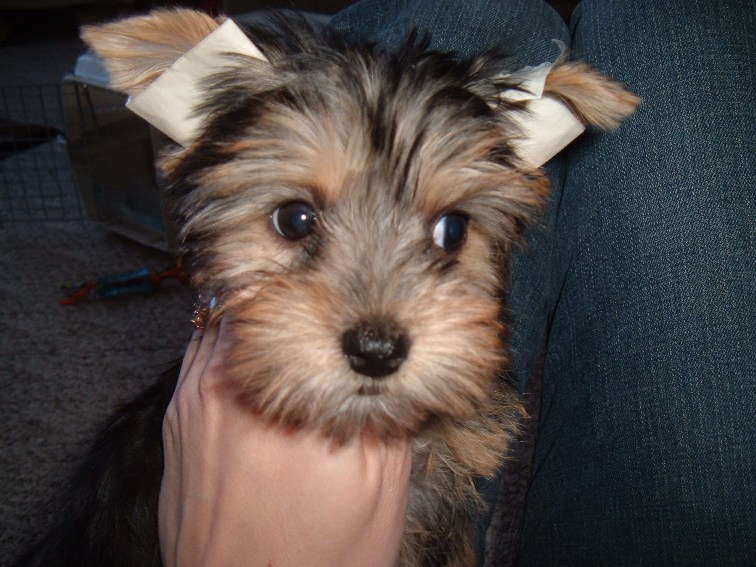puppykids_017
