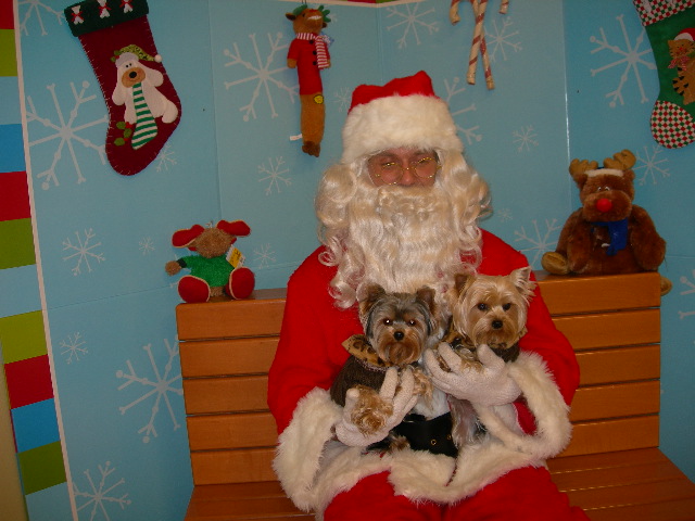 pups_with_Santa_Family_new_granddaughter_12-06_020