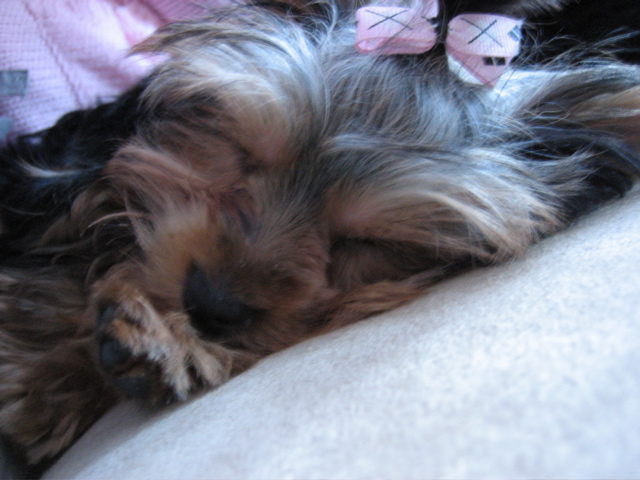 resting