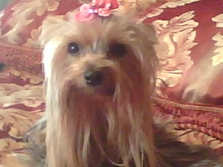 rosie11