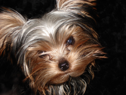 ruthie_closeup