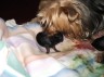 s_pics_005_Thumbnail_Web_view