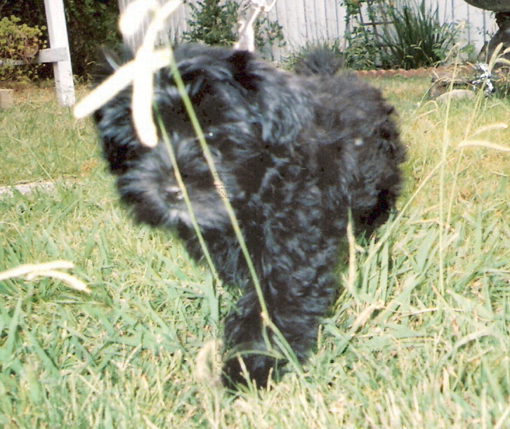 scan00023
