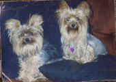 sebastian_and_pebbles