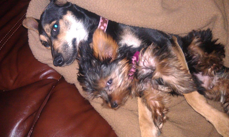 sisterly_love_