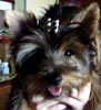 skeeter_haven-1