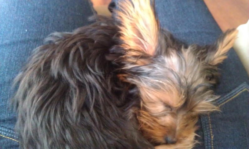 sleepy5