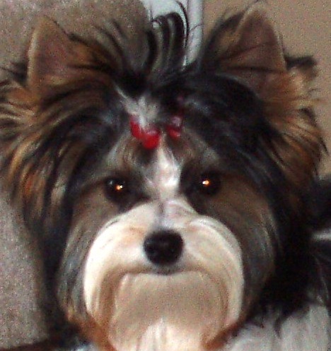 snickers_face
