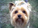 sweet_boy