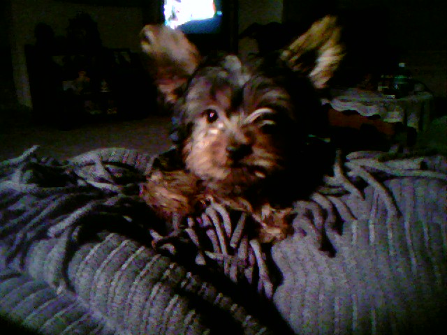 tater