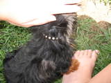 th_IMG_2205