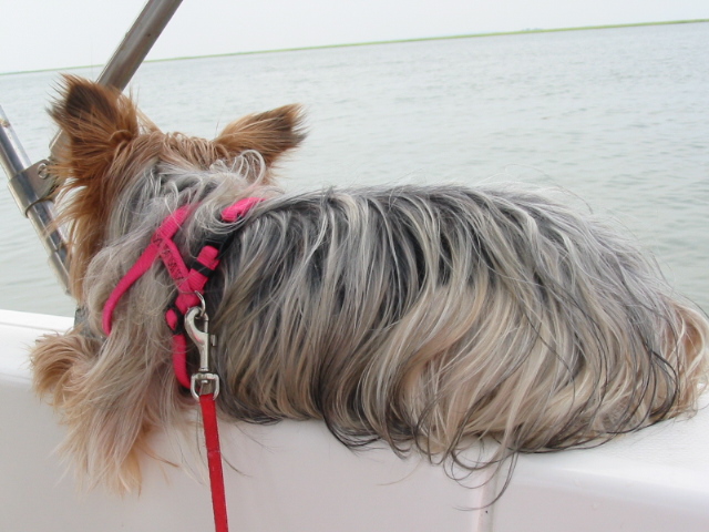 the_boat_040