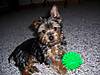 000_0328.jpg