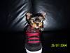 000_03471.jpg