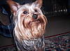 000_0675.JPG