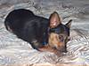 000_06751.JPG