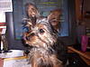 000_0697.JPG