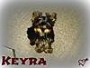 000_keyra_285703_10151190249704638_757183289_n.jpg