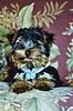 07_09_13.JPEG