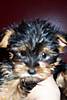 100_0070.JPG