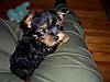 100_0071.JPG