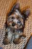 100_0083.jpg