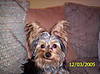 100_0160.JPG