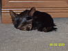 100_0210.JPG
