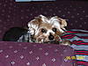 100_0239_2_.JPG