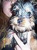 100_0251.JPG